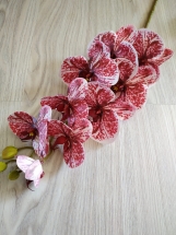 Орхидея Фаленопсис 9 соцветий/арт Орхидея Фаленопсис 9 соцветий/арт.12